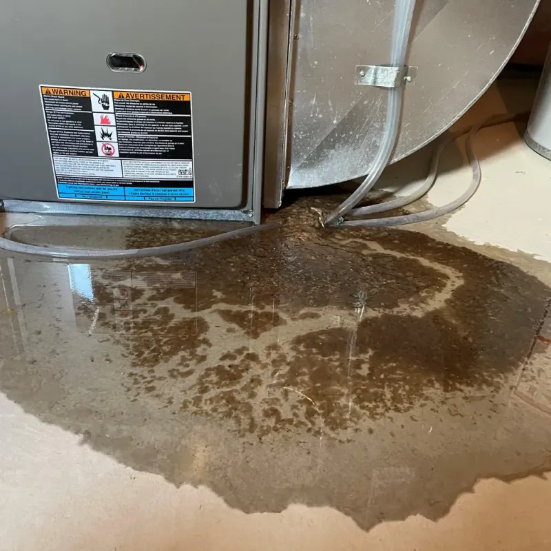 Appliance Leak Cleanup in Newport, NC